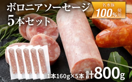 ボロニアソーセージ５本(160g×5)セット ソーセージ ボロニア 名水豚 お肉 ステーキ バーベキュー BBQ 惣菜 豚肉 ウデ肉100% お弁当 朝ごはん 朝食 おかず 福岡県 大木町 お取り寄せ 冷凍 AP14