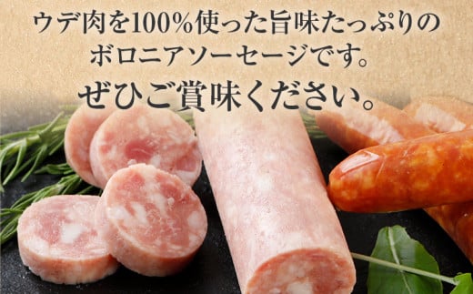 ボロニアソーセージ５本(160g×5)セット ソーセージ ボロニア 名水豚 お肉 ステーキ バーベキュー BBQ 惣菜 豚肉 ウデ肉100% お弁当 朝ごはん 朝食 おかず 福岡県 大木町 お取り寄せ 冷凍 AP14