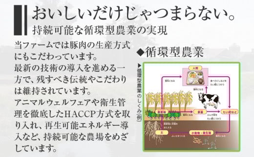 ボロニアソーセージ５本(160g×5)セット ソーセージ ボロニア 名水豚 お肉 ステーキ バーベキュー BBQ 惣菜 豚肉 ウデ肉100% お弁当 朝ごはん 朝食 おかず 福岡県 大木町 お取り寄せ 冷凍 AP14