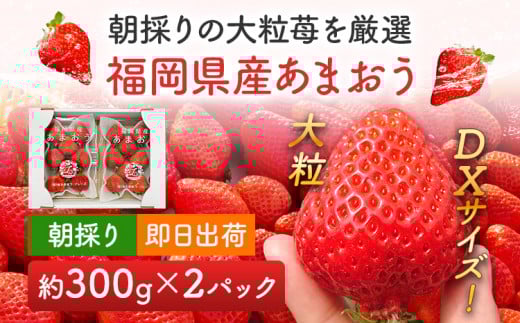 《先行予約》あまおう 約300g×2パック おすすめ 福岡県 大木町 BO003 【2026年12月下旬～2027年4月末頃にかけて順次出荷予定】いちご フルーツ 苺