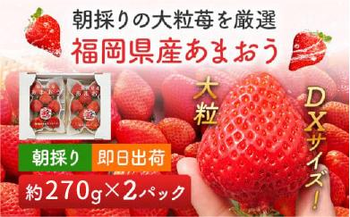 《先行予約》あまおう 約270g×2パック おすすめ 福岡県 大木町 BO003 【2026年12月下旬～2027年4月末頃にかけて順次出荷予定】いちご フルーツ 苺