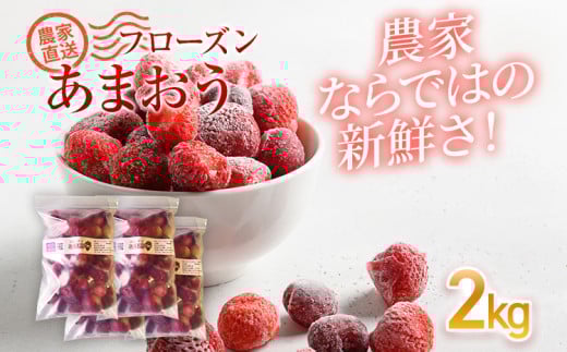 フローズンあまおう2kg(500g×4袋)　BD11