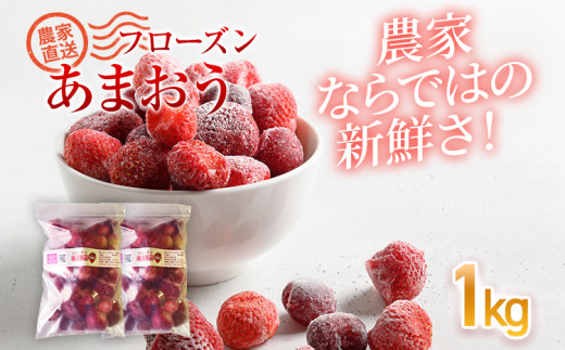 フローズンあまおう1kg(500g×2袋)　BD10