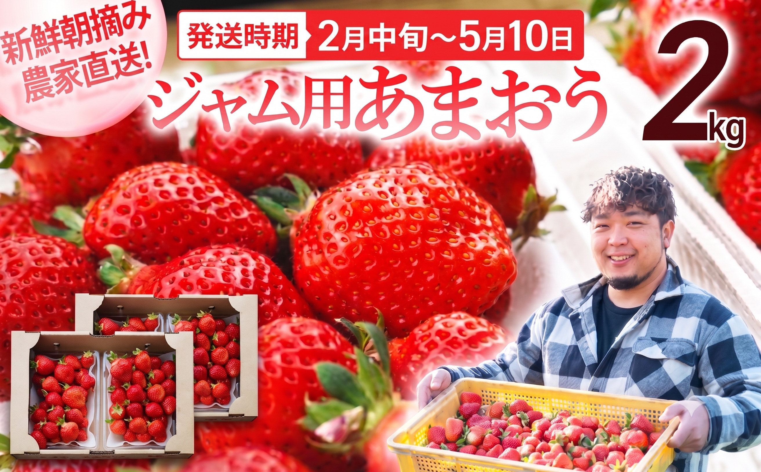 【先行予約】ジャム用あまおう2kg ※2027年2月中旬～5月10日頃にかけて順次出荷予定 BD07