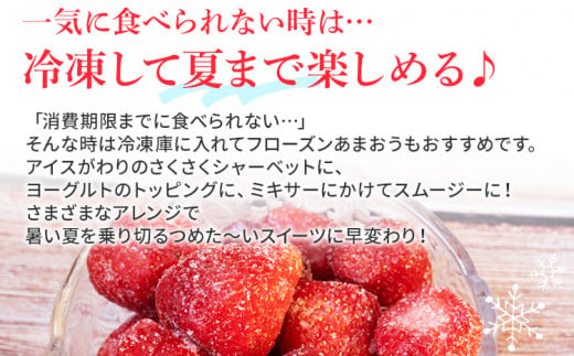 ãå
è¡äºçŽããžã£ã çšããŸãã2kg â»2027幎2æäžæ¬ïœ5æ10æ¥é ã«ãããŠé 次åºè·äºå® BD07
