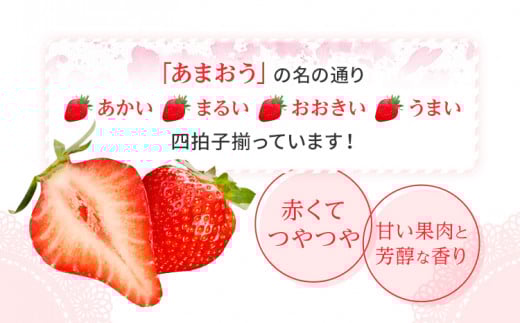 ããŸãããã¥ãŒã¬100gÃ10åãBD09