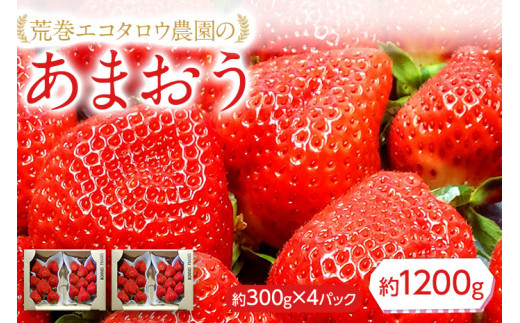 荒巻エコタロウ農園のあまおう約300g×4パック(約1200g)【2026年2月下旬以降順次出荷予定】BJ04