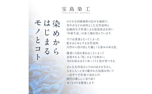 BIGベスト YERROW（草木染）　AO117