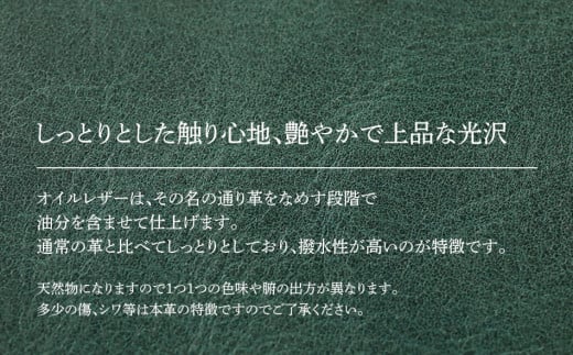 ã³ããŒïŒ éå
·ã䜿ããªããã³ãããã° ïŒïŒ ãªã€ã«ã¬ã¶ãŒã»ã°ãªãŒã³ïŒãBK095