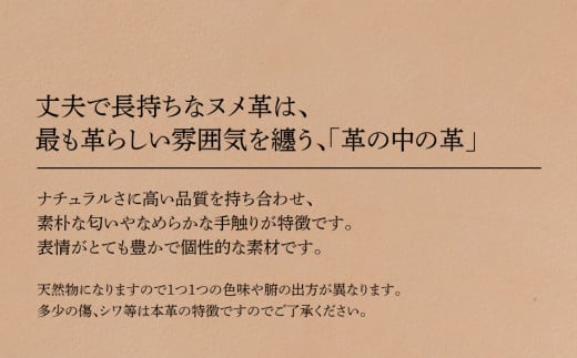 ã¹ã©ã€ãã³ã€ã³ã±ãŒã¹(ãã¡é©ã»ããã¥ã©ã«ïŒãBK115