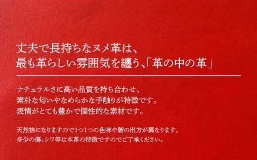 ãããŒã¯ãªããïŒãã¡é©ã»ã¬ããïŒãBK069