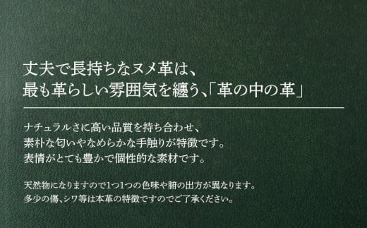 ãããŒã¯ãªããïŒãã¡é©ã»ã°ãªãŒã³ïŒãBK068