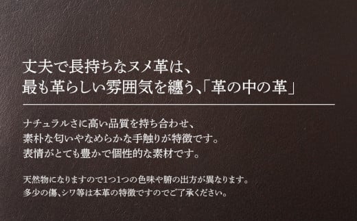 ãããŒã¯ãªããïŒãã¡é©ã»ããŒã¯ãã©ãŠã³ïŒãBK065