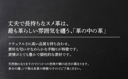 ãããŒã¯ãªããïŒãã¡é©ã»ãã©ãã¯ïŒãBK064