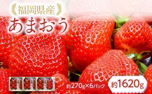 《先行予約》荒巻エコタロウ農園の福岡県産あまおう約270g×6パック(約1620g)　BJ03
