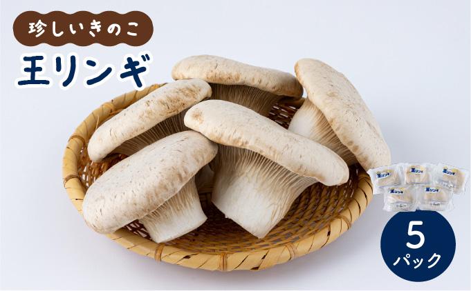 珍しいきのこ 王リンギ5パック  AT18