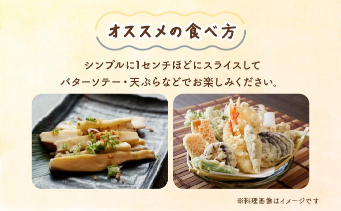 迴阪@縺縺阪ョ縺 邇九Μ繝ウ繧ョ5繝代ャ繧ッ AT18