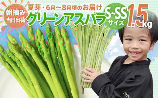 アスパラガス 夏芽 S～SS 1.5kg【6月から8月お届け】 BT09