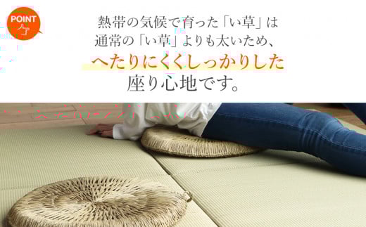 い草irucico編み円座みらい直径43ｃｍ　2枚組　AA335