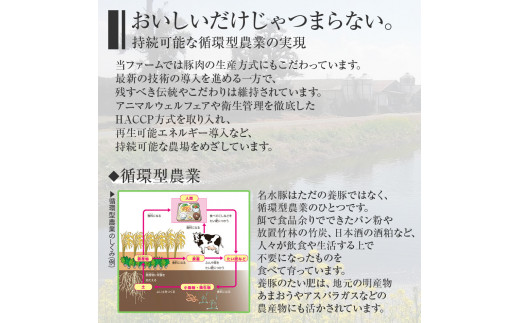 蜷肴ーエ雎 雎壹b繧りi繧ケ繝ゥ繧、繧ケ (500gテ暦シ碑「) 縲AP10