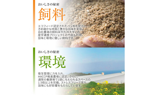 蜷肴ーエ雎 雎壹b繧りi繧ケ繝ゥ繧、繧ケ (500gテ暦シ碑「) 縲AP10