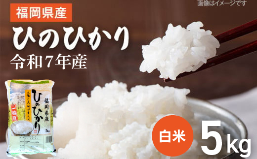 【令和7年産】 福岡県 大木町産 ひのひかり 5kg　BC01-1