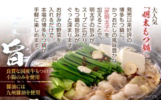 博多明太もつ鍋(醤油味)１人前　BV008