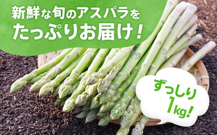 数量限定 先行予約 アスパラ LMサイズ 1.2kg 春芽　朝採り 朝採れ 直送 グリーンアスパラガス アスパラ【2月～4月お届け】 BT03
