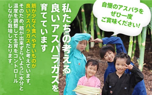 数量限定 先行予約 アスパラ LMサイズ 1.2kg 春芽　朝採り 朝採れ 直送 グリーンアスパラガス アスパラ【2月～4月お届け】 BT03