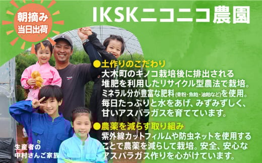 数量限定 先行予約 アスパラ 2Lサイズ 1kg 春芽　朝採り 朝採れ 直送 グリーンアスパラガス アスパラ 【2月～4月お届け】 BT02