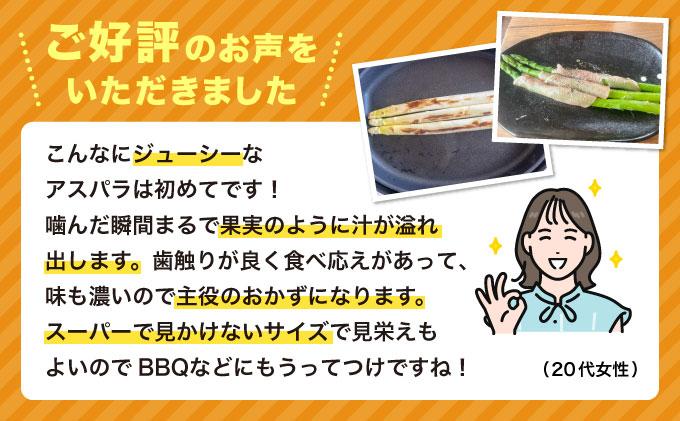 数量限定 先行予約 アスパラ 2Lサイズ 1kg 春芽　朝採り 朝採れ 直送 グリーンアスパラガス アスパラ 【2月～4月お届け】 BT02