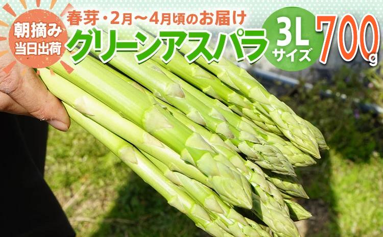 数量限定 先行予約 アスパラ 3Lサイズ 700g 春芽　朝採り 朝採れ 直送 グリーンアスパラガス アスパラ 【2月～4月お届け】 BT01
