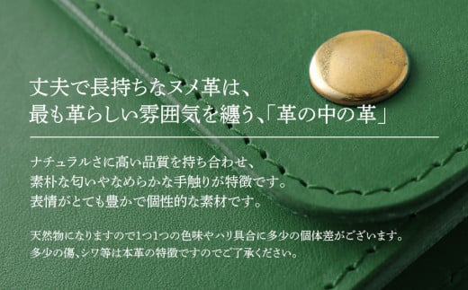 ã¢ãïŒäºã€æã財åžïŒïŒãã¡é©ã»ã°ãªãŒã³ïŒãBK052