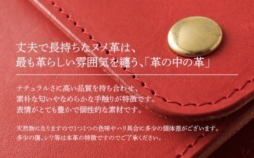 ã¢ãïŒäºã€æã財åžïŒïŒãã¡é©ã»ã¬ããïŒãBK051