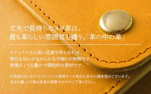 ã¢ãïŒäºã€æã財åžïŒïŒãã¡é©ã»ãã£ã¡ã«ïŒãBK053