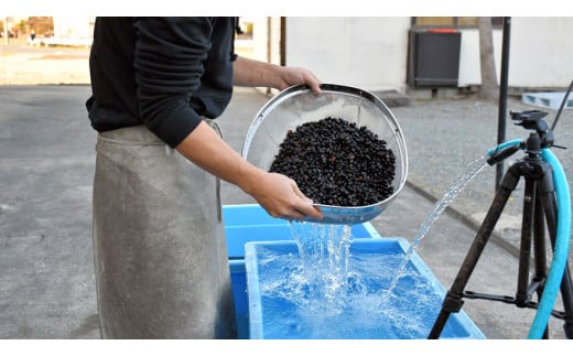 「焼桐つぶ枕」　まくらにお悩みですか? そんな方に、注目して頂きたいゼロ反発のまくら　／総桐箪笥和光　AH078