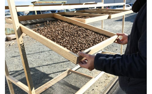 「焼桐つぶ枕」　まくらにお悩みですか? そんな方に、注目して頂きたいゼロ反発のまくら　／総桐箪笥和光　AH078