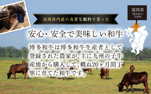 【厳選部位】博多和牛サーロインしゃぶしゃぶすき焼き用　500ｇ Y36