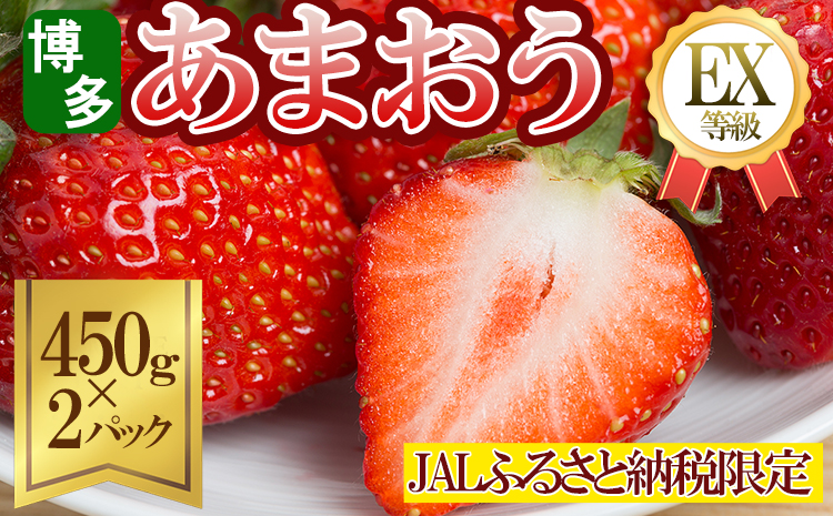 [JALふるさと納税限定]エコファーマー認定農家直送!福岡県産あまおうEXギフト[約450g×2パック] 2Z7-S