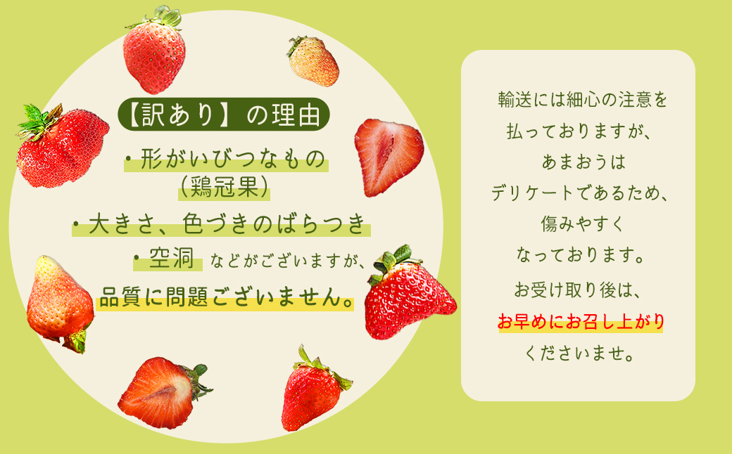 3W13 【福岡県産あまおう】 訳あり グランデ　約２７０ｇ×６Ｐ