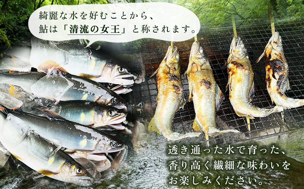 蜀キ蜃埼ョ弱邏300g 3E4