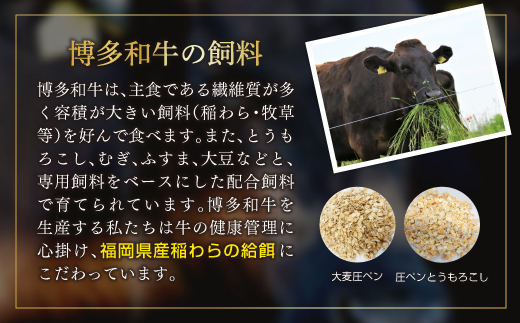 【厳選部位】博多和牛サーロインしゃぶしゃぶすき焼き用　500ｇ Y36