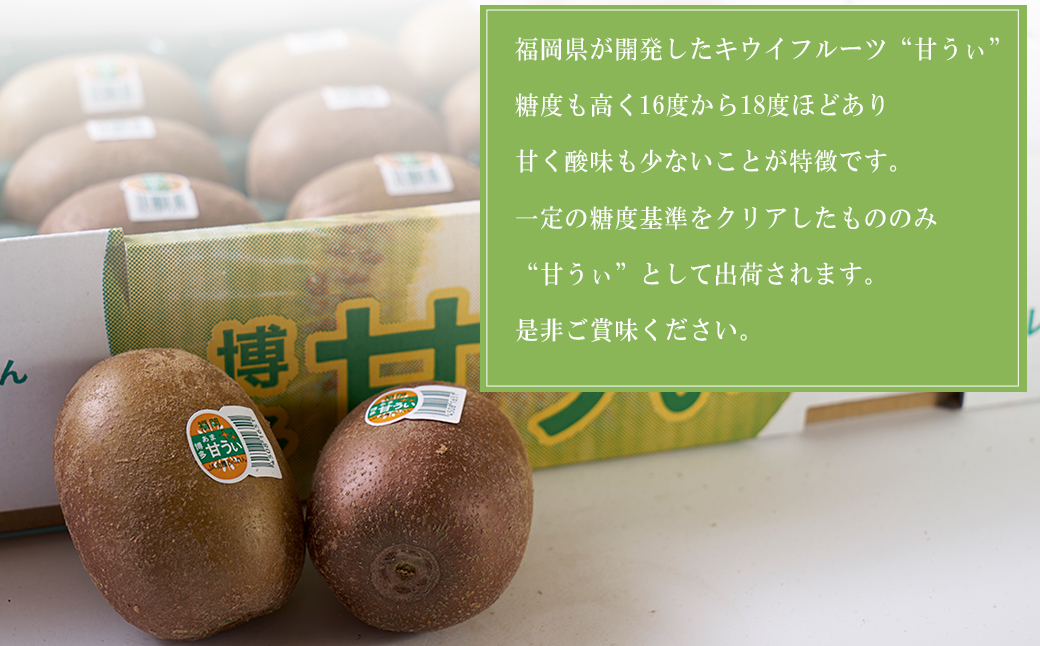 福岡限定!ブランドキウイ「甘うぃ(あまうぃ)」約3kg箱(24-30玉) 4A21