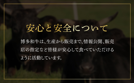 【厳選部位】博多和牛サーロインしゃぶしゃぶすき焼き用　1kｇ（500ｇ×2ｐ） Y37