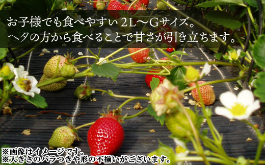 遖丞イ。逵檎肇縺ゅ∪縺翫≧縲280gテ2繝代ャ繧ッ縲 2Z5-S