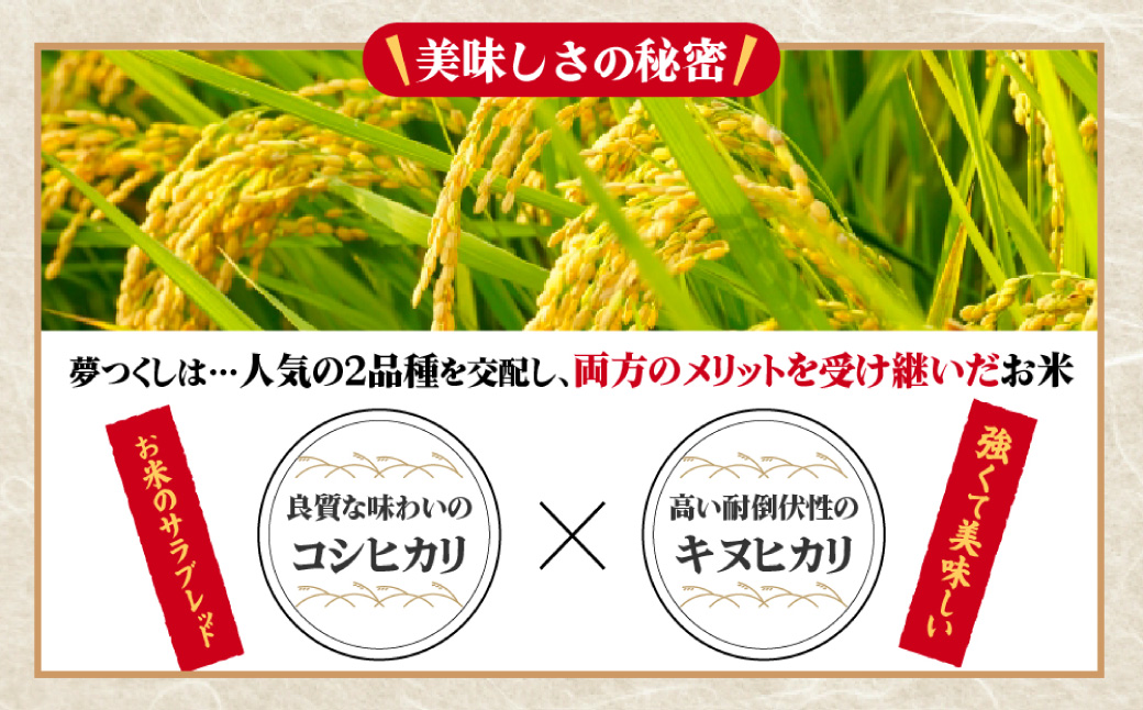 【数量限定】夢つくし(精米) 福岡県産ブランド米 10kg (品番:3X11)