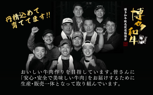 åå€åçãµãŒãã€ã³ã¹ããŒãã»ããã1kgïŒ250ïœÃ4æïŒ Y12-S1