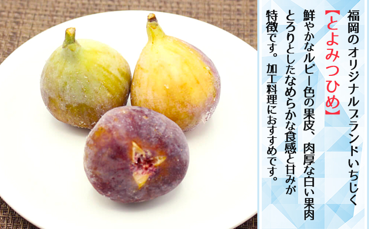 ãçŠå²¡çç£ãå·åãšãã¿ã€ã²ãïŒã€ããžã¯ïŒ 2kgïŒ1kgÃ2ïŒ 2L8-S