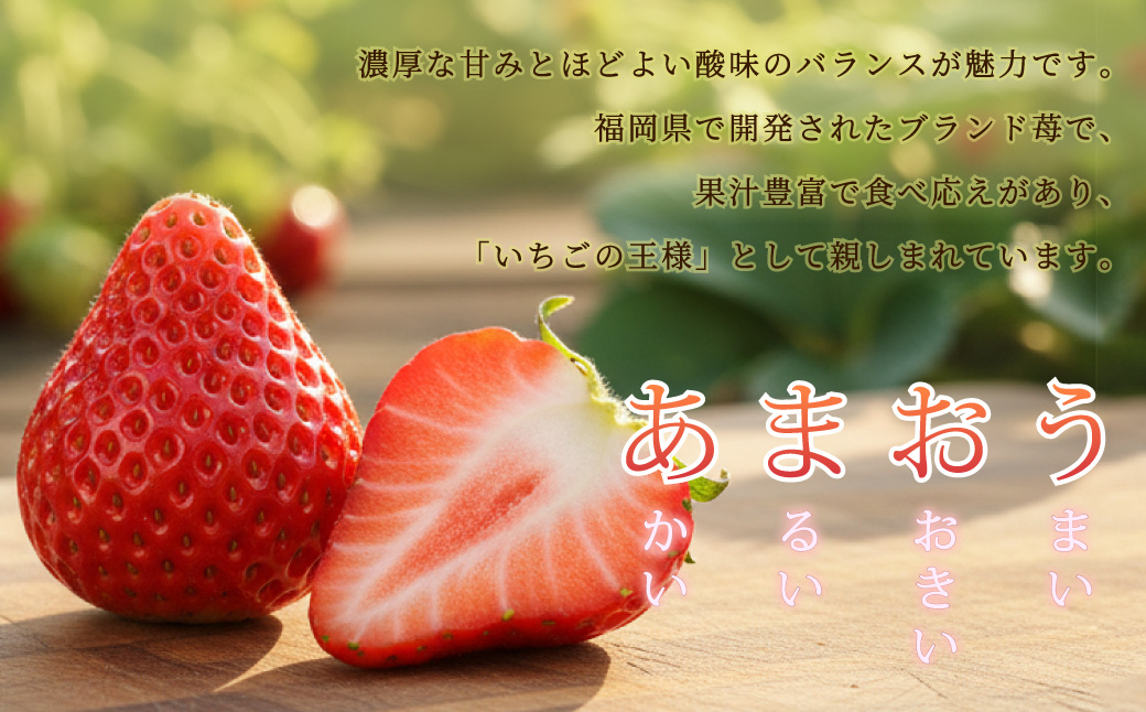 【先行予約】福岡県産「あまおう」定期便3回お届け (1月・2月・3月) 2J2