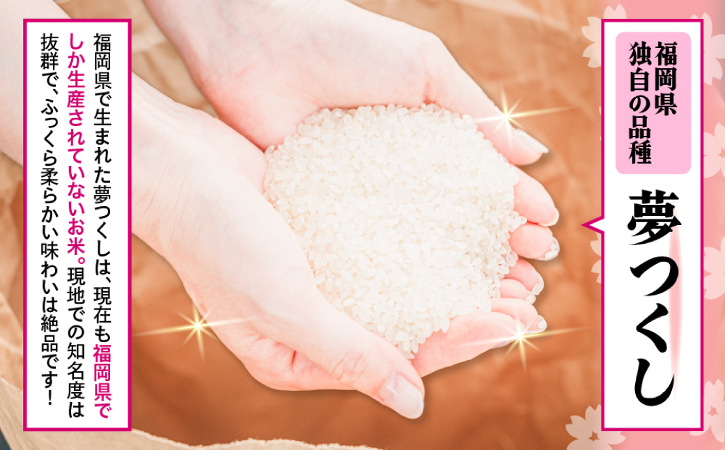 【数量限定】夢つくし(精米) 福岡県産ブランド米 5kg  (品番:3X10)